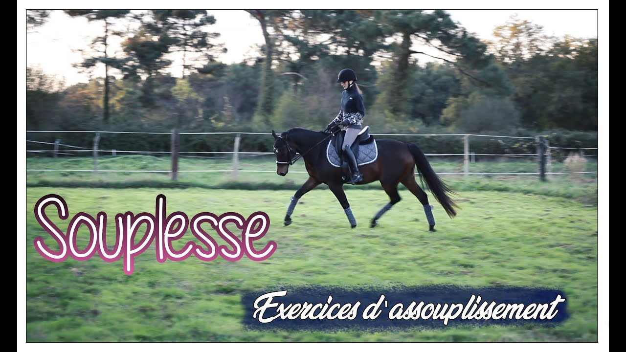 [SÉANCE COMMENTÉE #4] 3 ÉXERCICES POUR AMÉLIORER LA SOUPLESSE DE VOTRE CHEVAL ! - PASSION DRESSAGE -