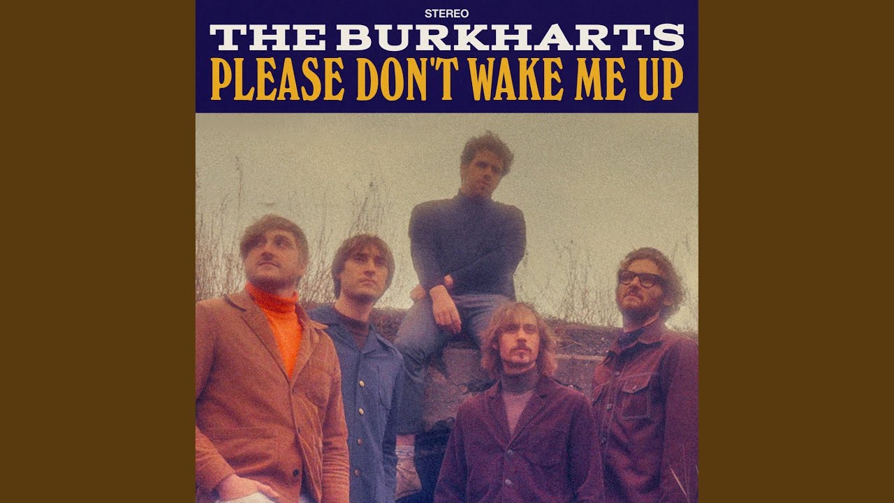 Please Don't Wake Me Up