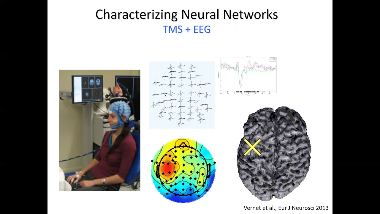 Updates on Transcranial Magnetic Stimulation in Neurology