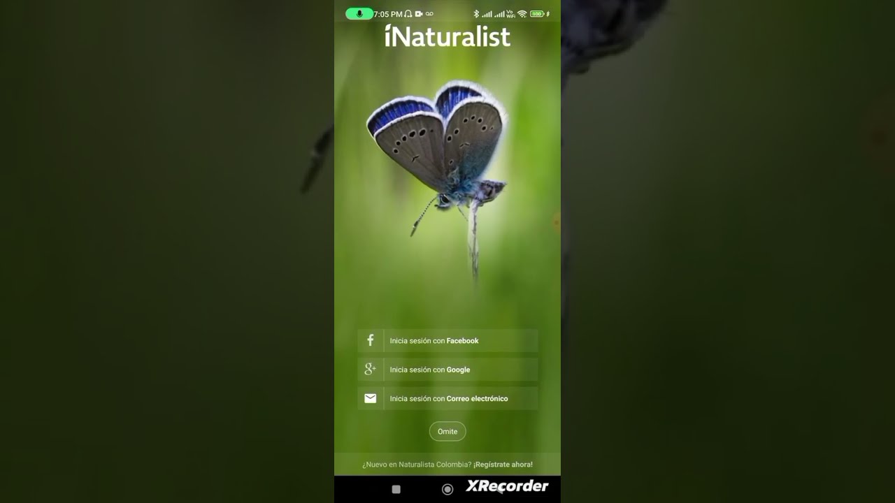 Cómo usar iNaturalist