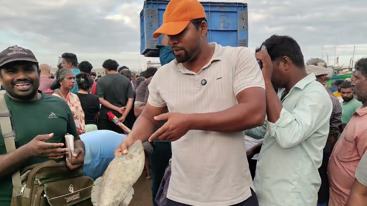 மீன்களின் விலை நிலவரம், தேங்காபட்டணம் துறைமுகம் #fish #fresh fish #harbour