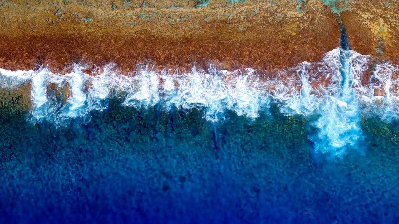 Relaxing Nature Water Scenes for Stress Relief & Meditation | Louie Schwartzberg 🌊 🌎🙏