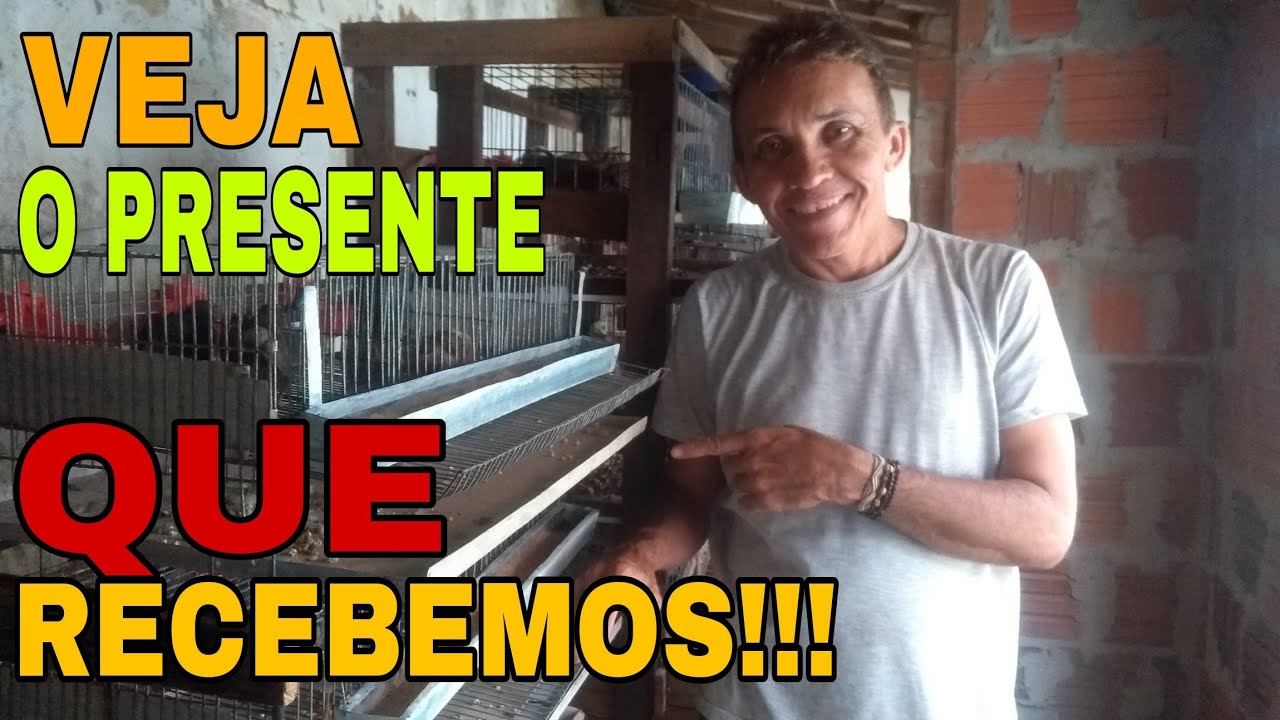 GANHAMOS GAIOLAS  PARA CODORNA CHINESA!!! Instalamos Bebedouros!