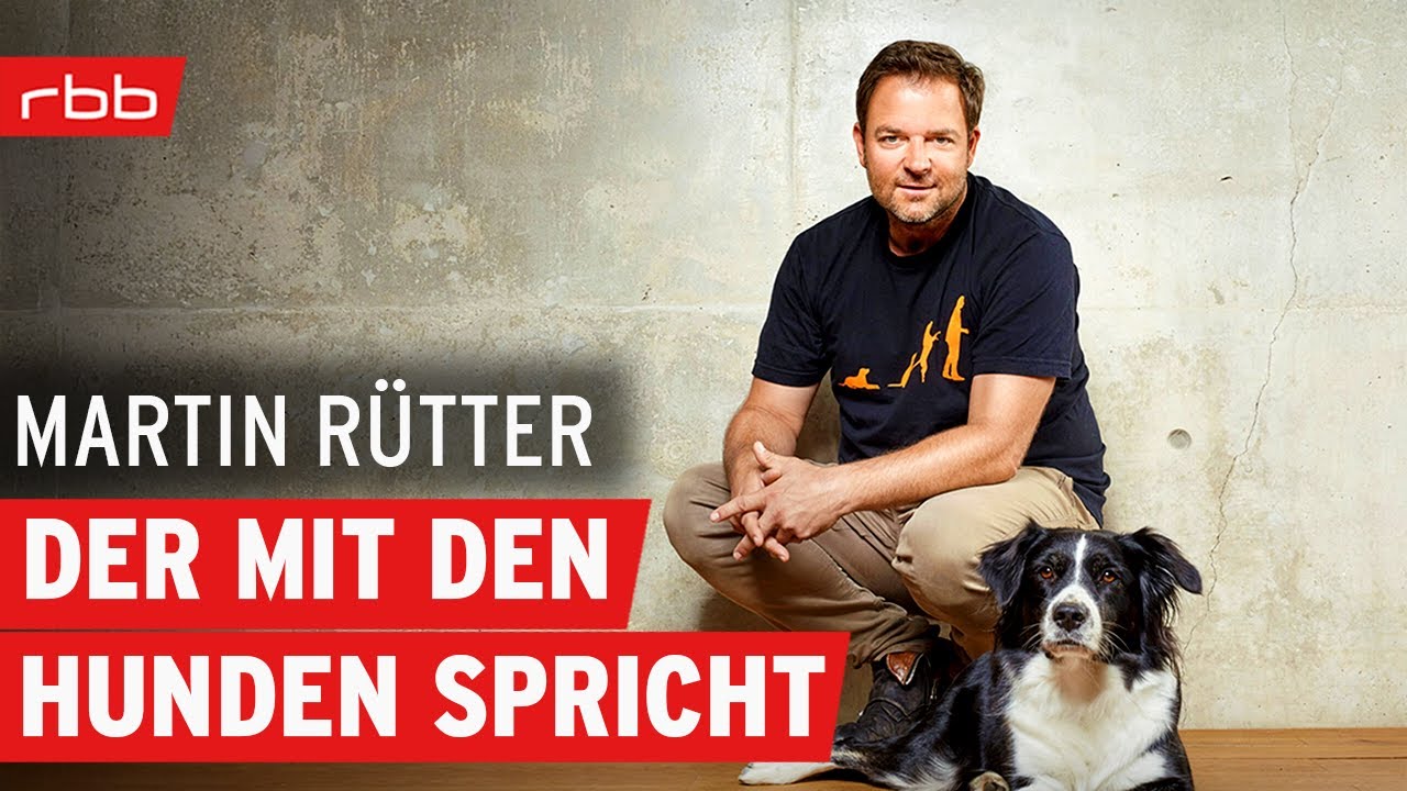 Hundeflüsterer Martin Rütter | Interview | DER TAG