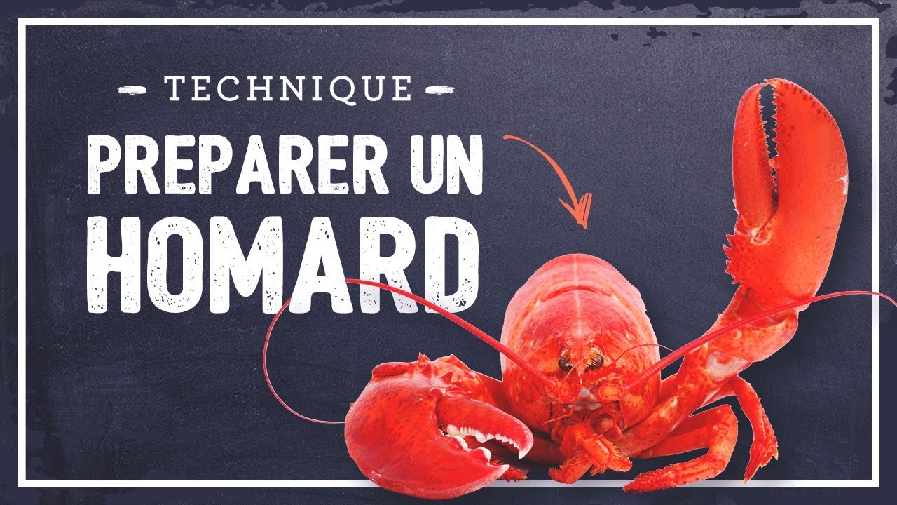 Comment préparer un HOMARD ?