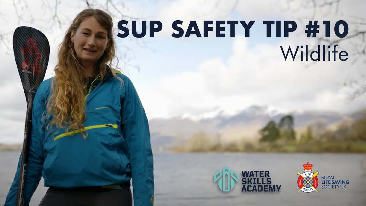 SUP Safety Tip #10 // Wildlife // with Cal Major