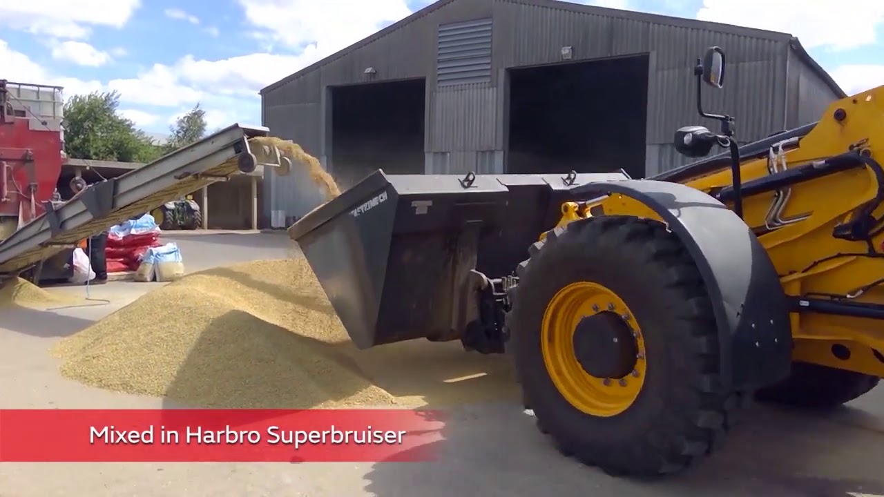 Maxammon grain treatment