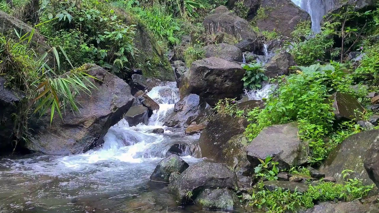 Soft River Ambience | Natural White Noise to Focus and Unwind