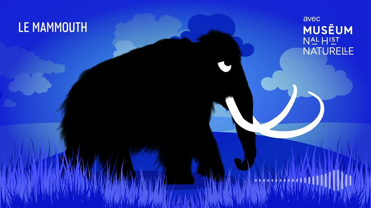 Le mammouth laineux : en route, mammouth ! Bestioles fossiles
