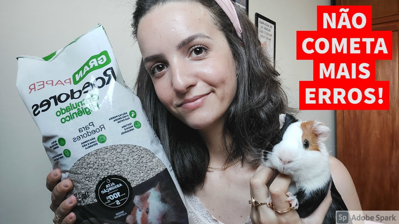 ⚠️ TESTANDO UM NOVO GRANULADO PARA PORQUINHOS DA ÍNDIA SUPER SEGURO!⚠️ GRAN PAPER