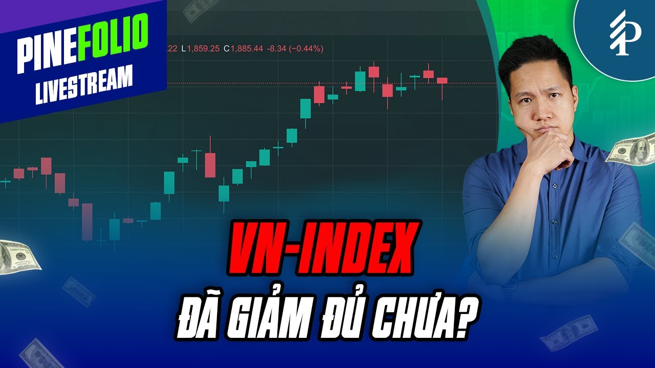 Thị trường phân hoá, dòng nào sẽ dẫn dắt VNIndex? | Livestream Pinefolio