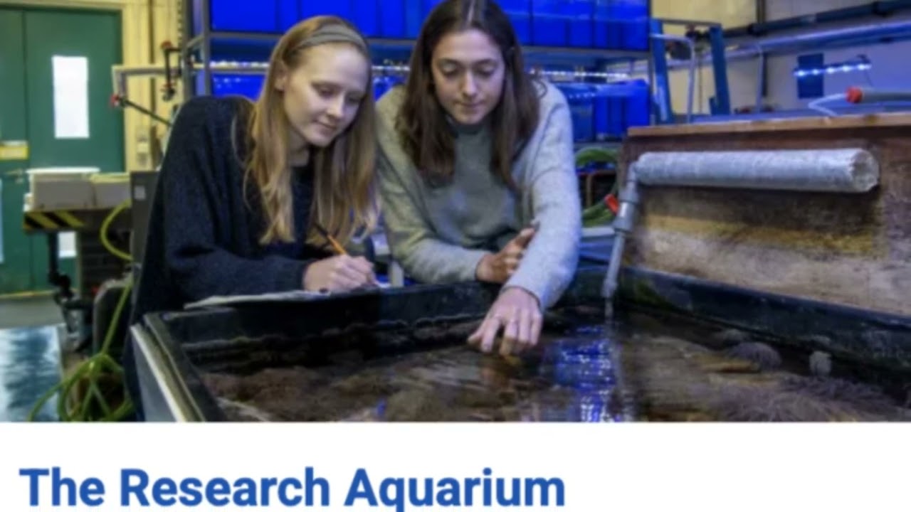 Comparing Top UK Marine Biology Degrees ST ANDREWS SOUTH EXETER