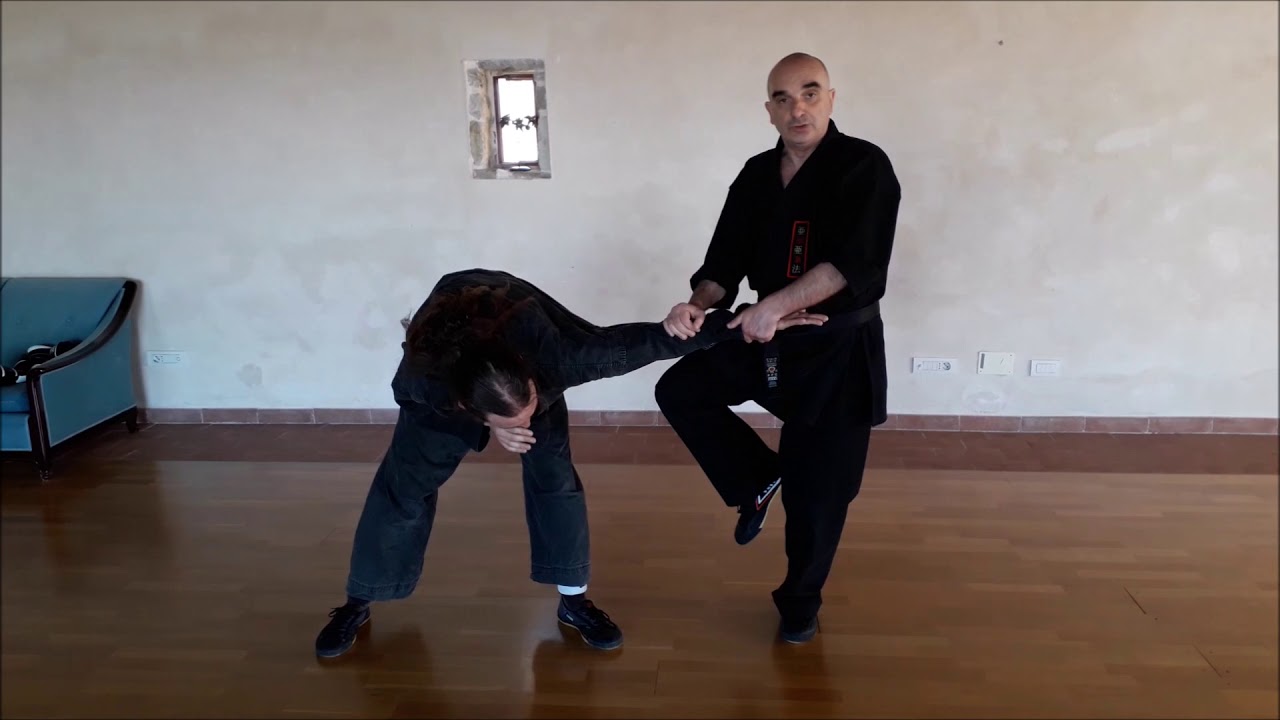 Kung Fu nel Karate, in principio era il Kenpo - Raffaele Bernabei