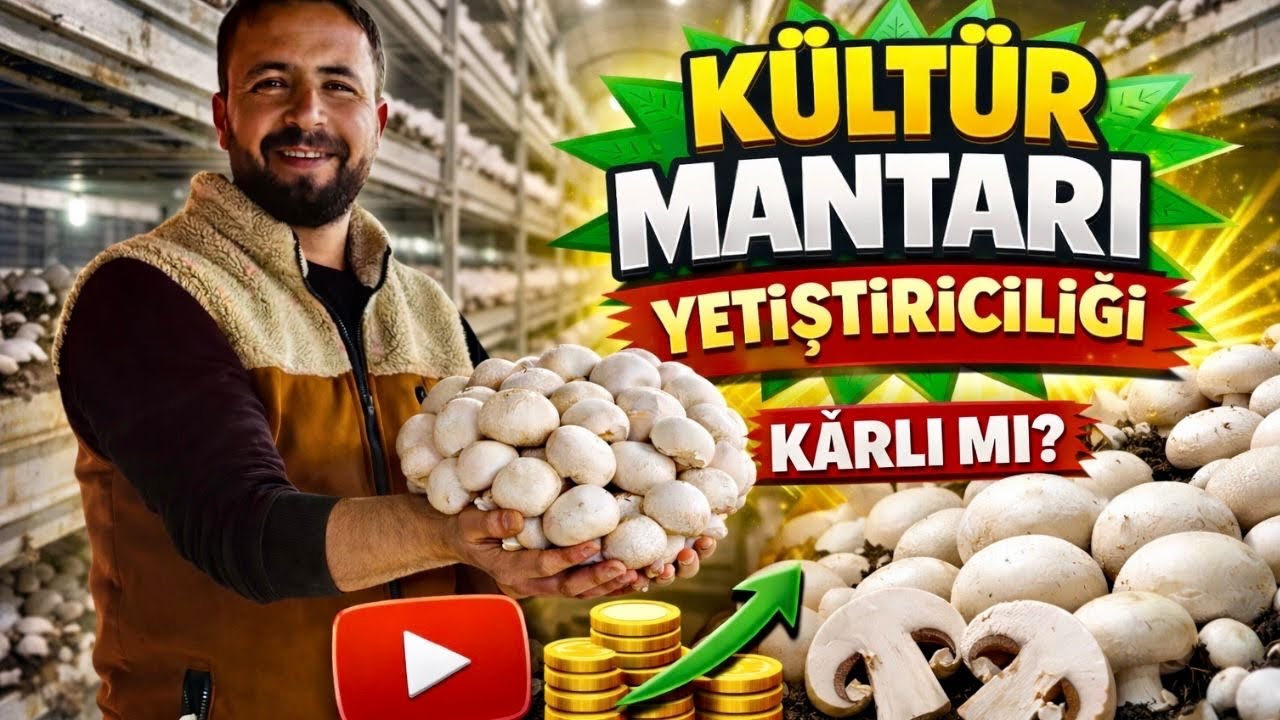 YILDA 3000 TON MANTAR / TÜRKİYENİN EN İYİLERİ ARASINDA / KÜLTÜR MATARI ÜRETİM TESİSİ