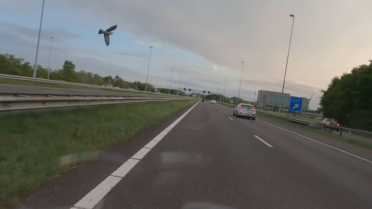 On my Yamaha fjr1300 I was scared to death by a bird pigeon on the highway towards Breda 4k 60fps