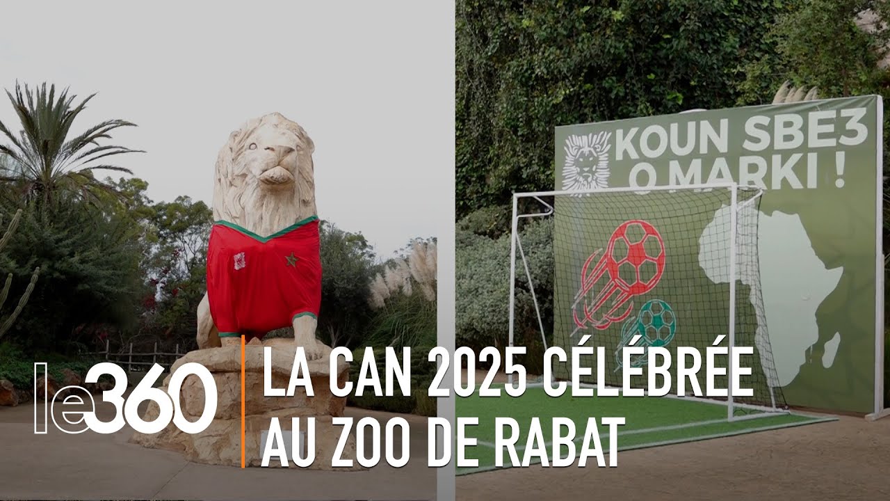 Le Parc zoologique de Rabat vit au rythme de la CAN 2025