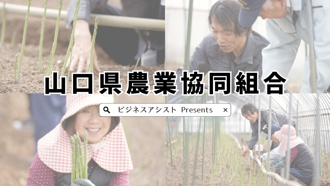 山口県各所に支所を置く山口県農業組合【JA山口県】営農指導職員に1日密着【求人情報もってけ！】