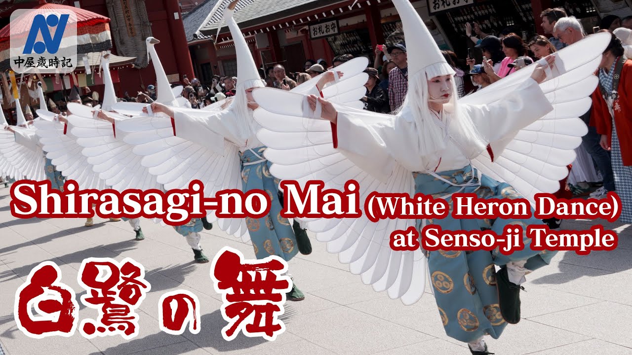 【Asakusa】Shirasagi-no Mai (White Heron Dance) 【14th.April.2024】