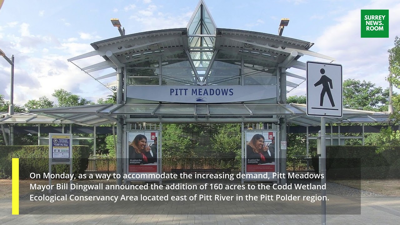 Regional park use increases by 37% to 14.4 million visits so far in 2020, says Metro Vancouver