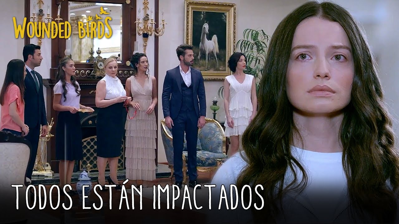 Todos están impactados | Wounded Birds (Yaralı Kuşlar) Capítulo 164