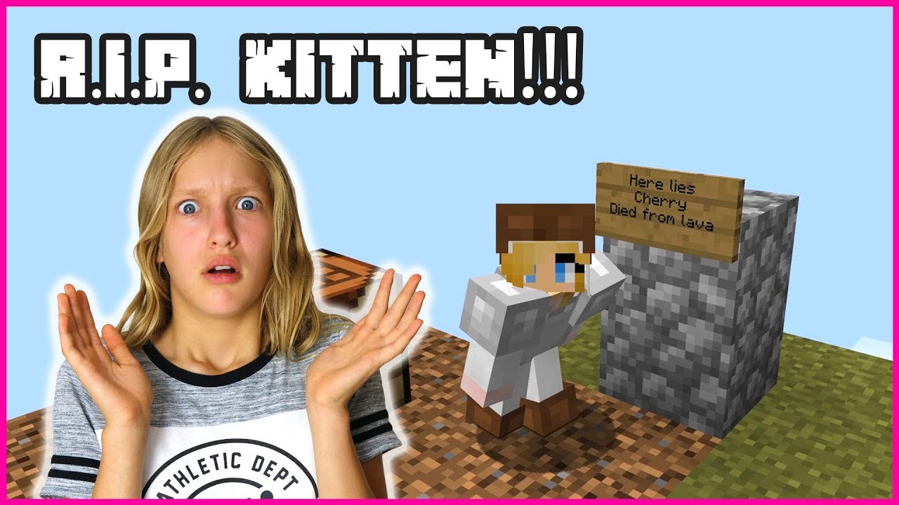 MY CAT DIED !!!