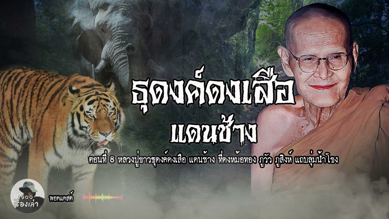 ธุดงค์ดงดงเสือ แดนช้าง ที่ดงหม้อทอง ภูวัว ภูสิงห์ ตอนที่ 8 | หลวงปู่ขาว อนาลโย