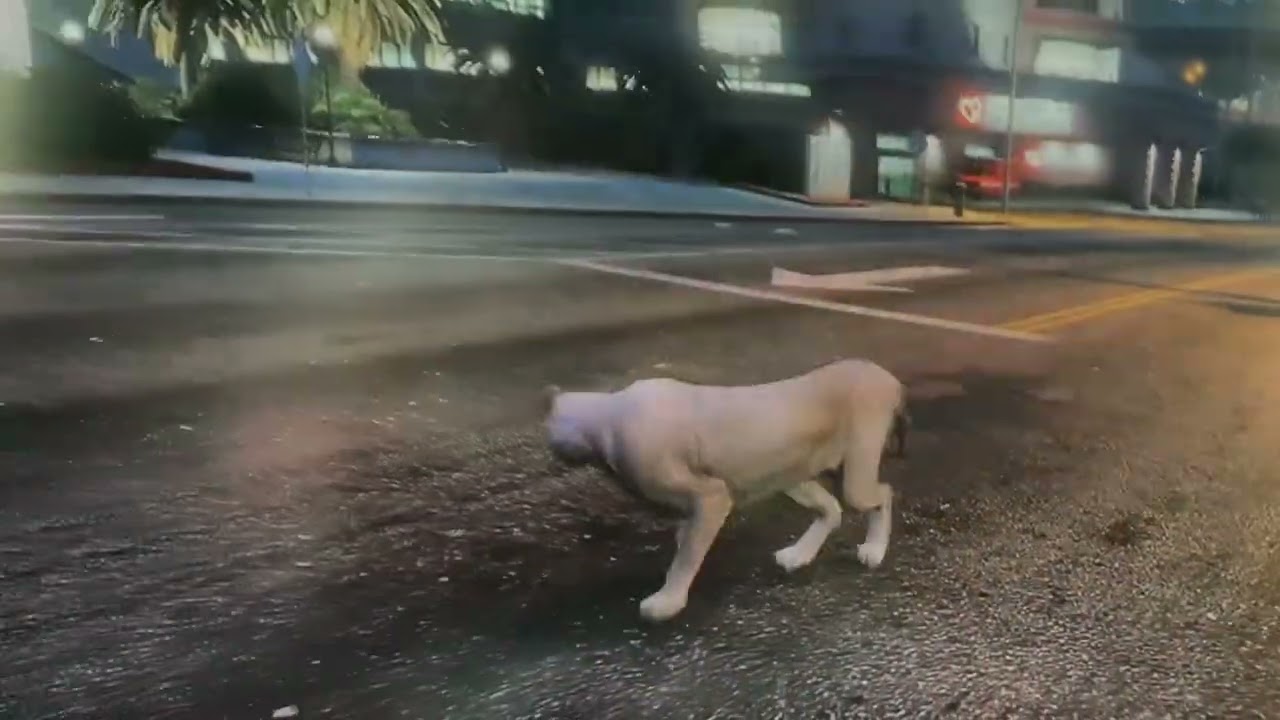 Playing GTA 5 playing as mountain lion