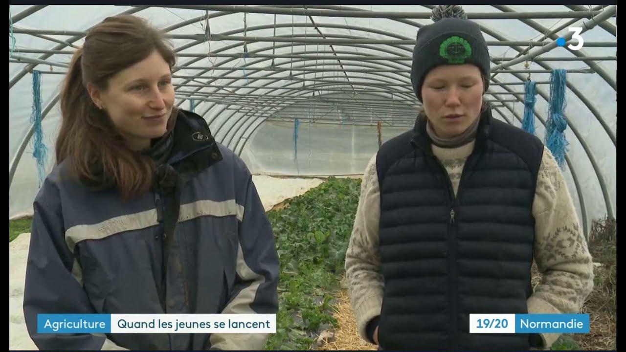France 3 Normandie - 25 février 2021 - Maraîchage sur sol vivant - Ferme de l'Alliance