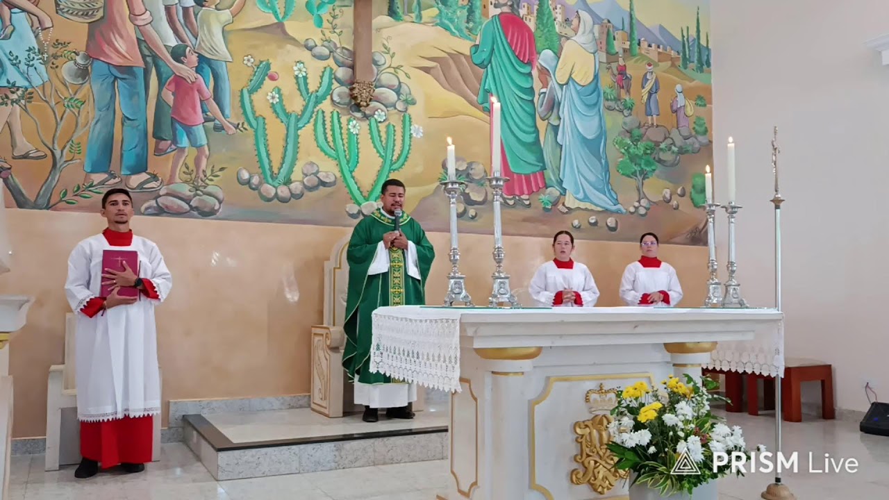 Transmissão ao vivo de Paróquia Nossa Senhora  Conceição de Pedro II-PI