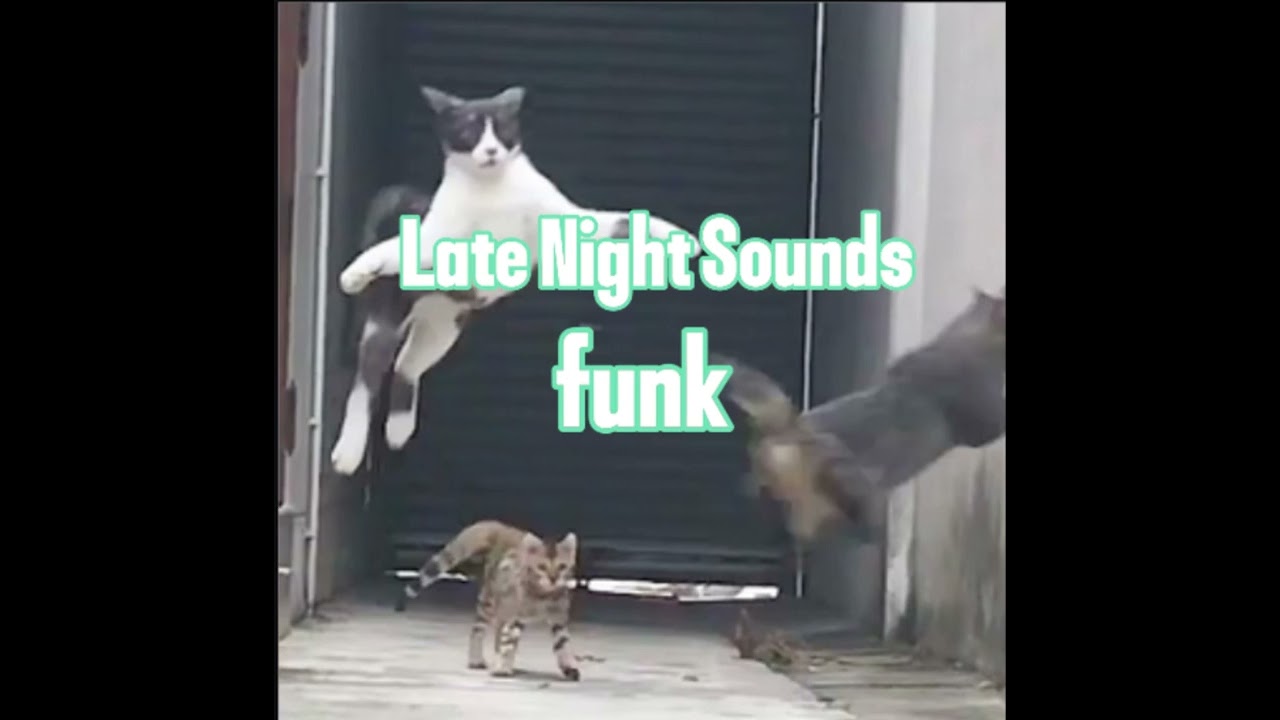 Late Night Sounds (funk) (phonk)