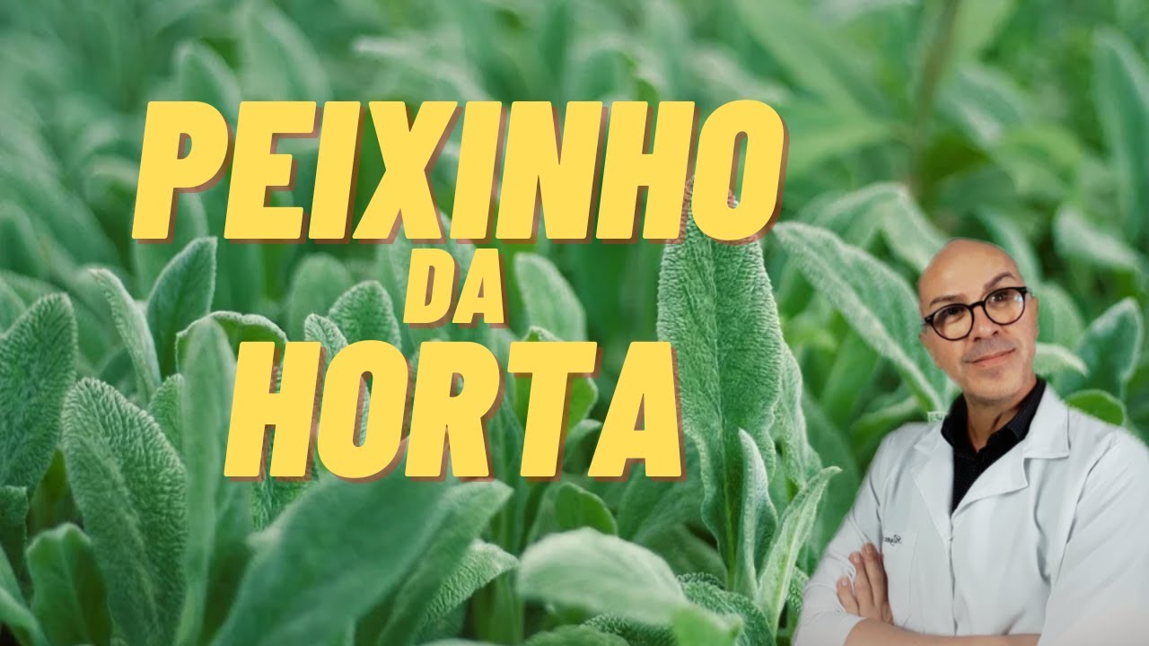 PULMONARIA -|FARINGITE |PNEUMONIA |DIABETES 2 |VARIZES |OSSOS |ASMA |DORES |PRESS&Atilde;O |GRIPE |AVC