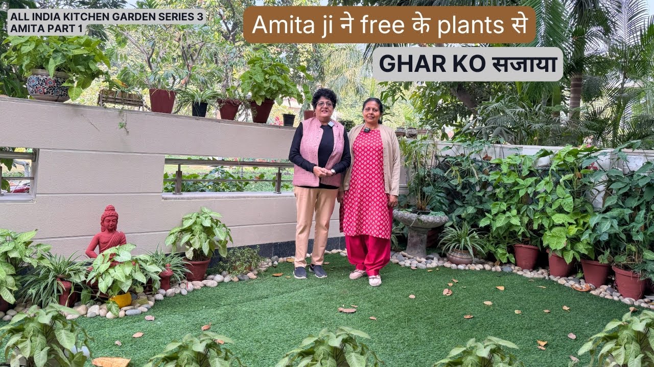 Amita ji ने free के plants से ghar ko सजाया