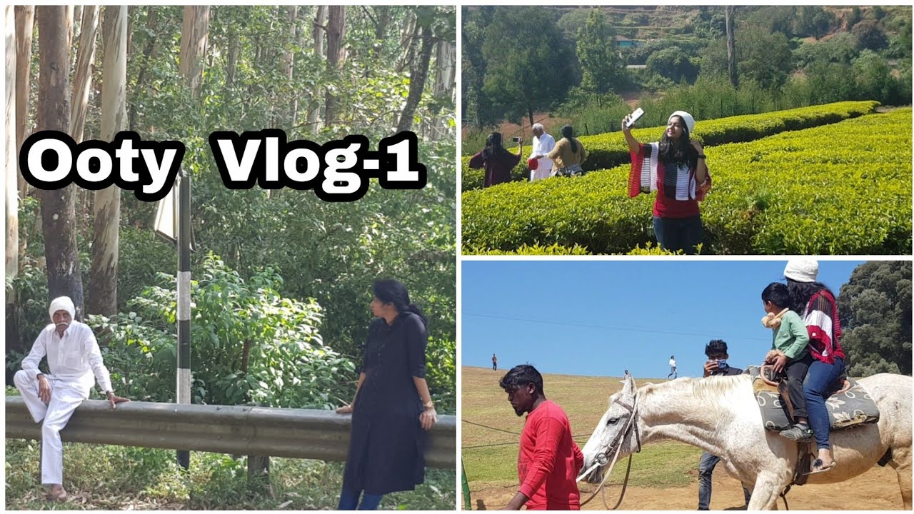 Beautiful places in Ooty/ఊటీ అందాలు చూద్దాం రండి #TravelVlog #ooty #madgardener