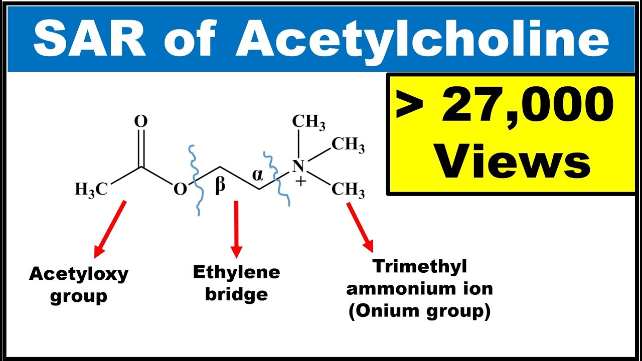 SAR of Acetylcholine (SAR of Parasympathomimetics) (Explained with structures)