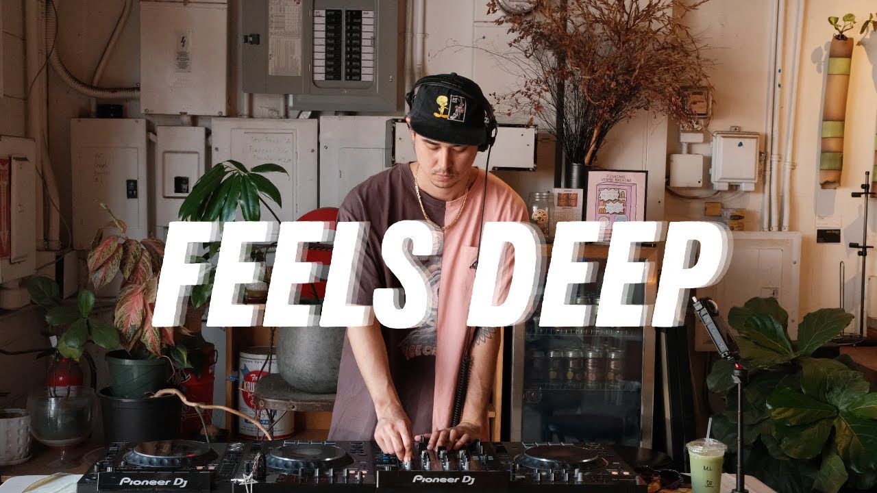 fishradio 004 - Feels Deep - Cafe DJ Set - Groovy, Deep, Minimal, Tech