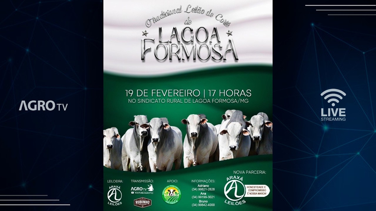 LEILÃO LAGOA FORMOSA - 19/02/2026