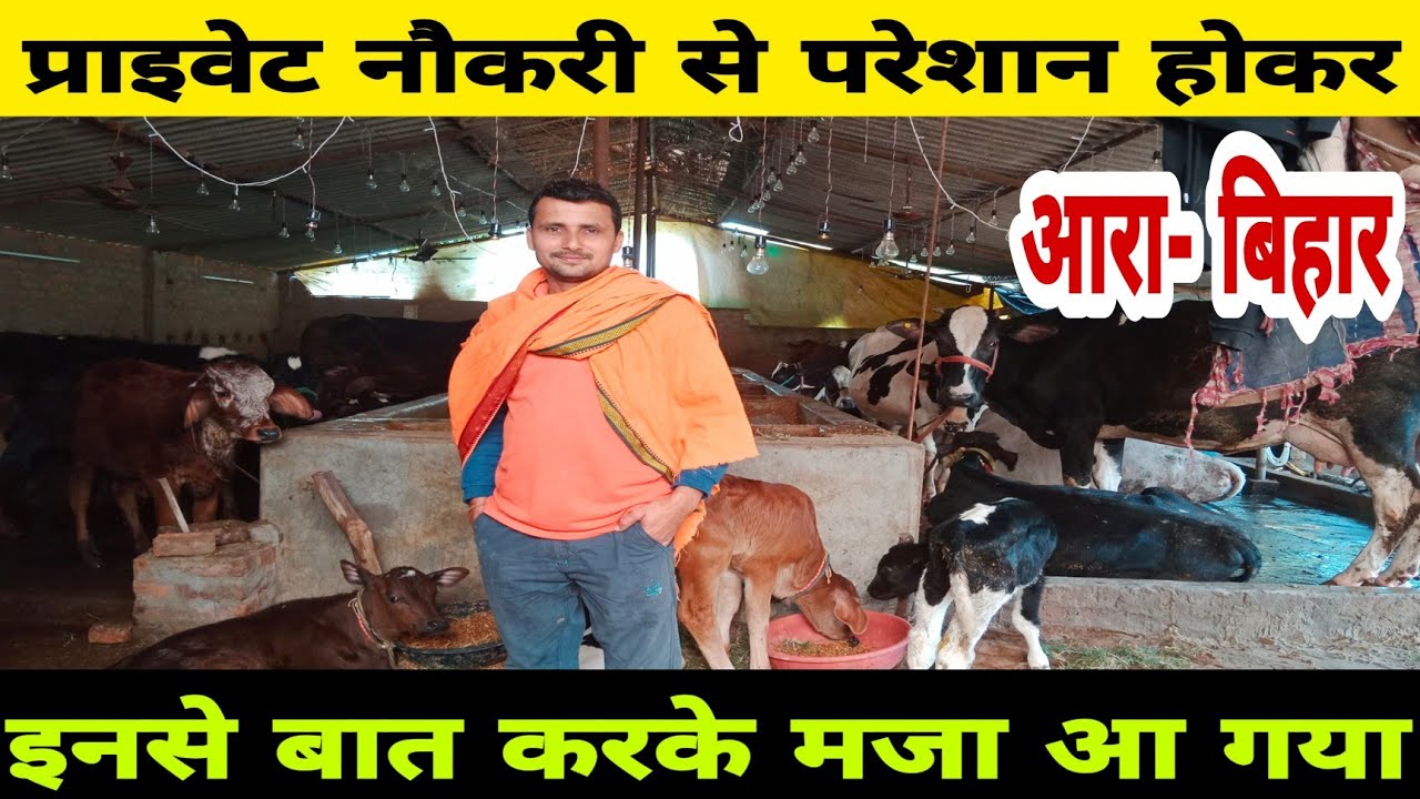 2 साल पहले प्राइवेट नौकरी छोड़ किया गांवमें डेयरी || dairy farm Ara Bhojpur Bihar ||