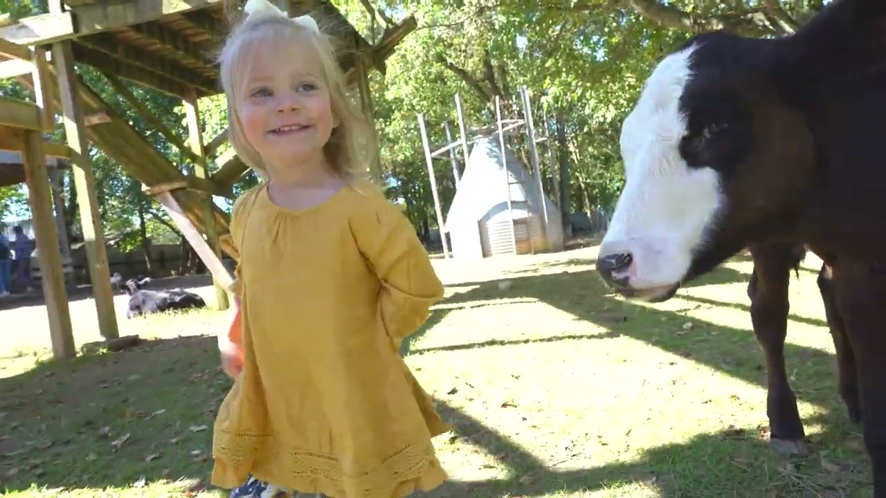 BJ Reece Apple Orchard October 2020