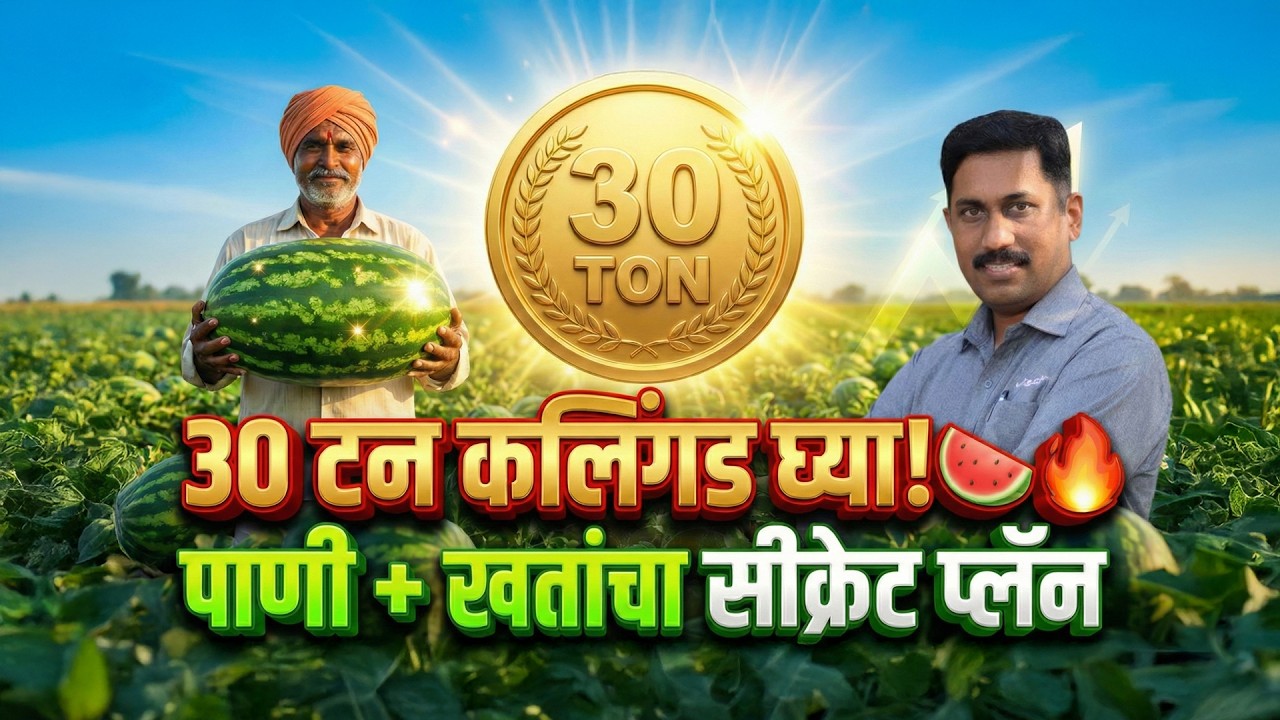 कलिंगड लागवड पूर्ण मार्गदर्शन | पाणी + खत + कीड नियंत्रण A to Z | Kalingad Lagwad | AgroStar