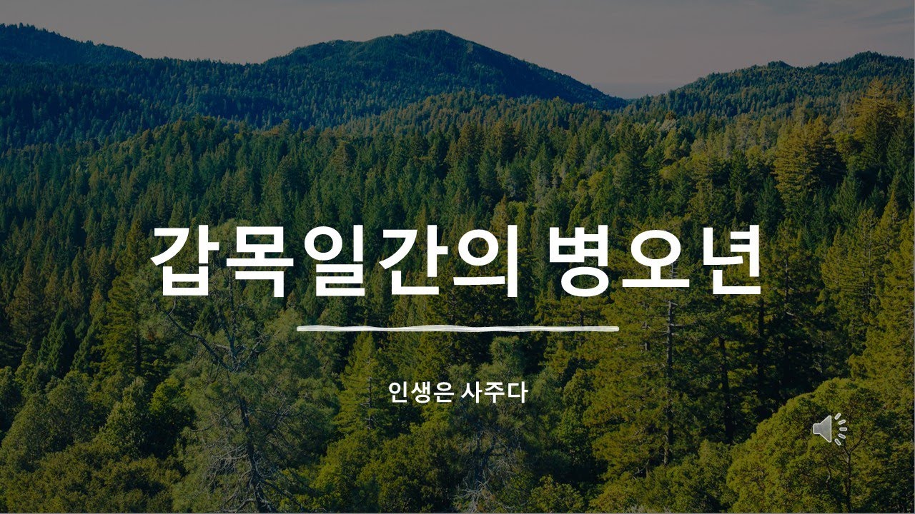 갑목일간은 병오년 어떤 인생을 살게되는가?