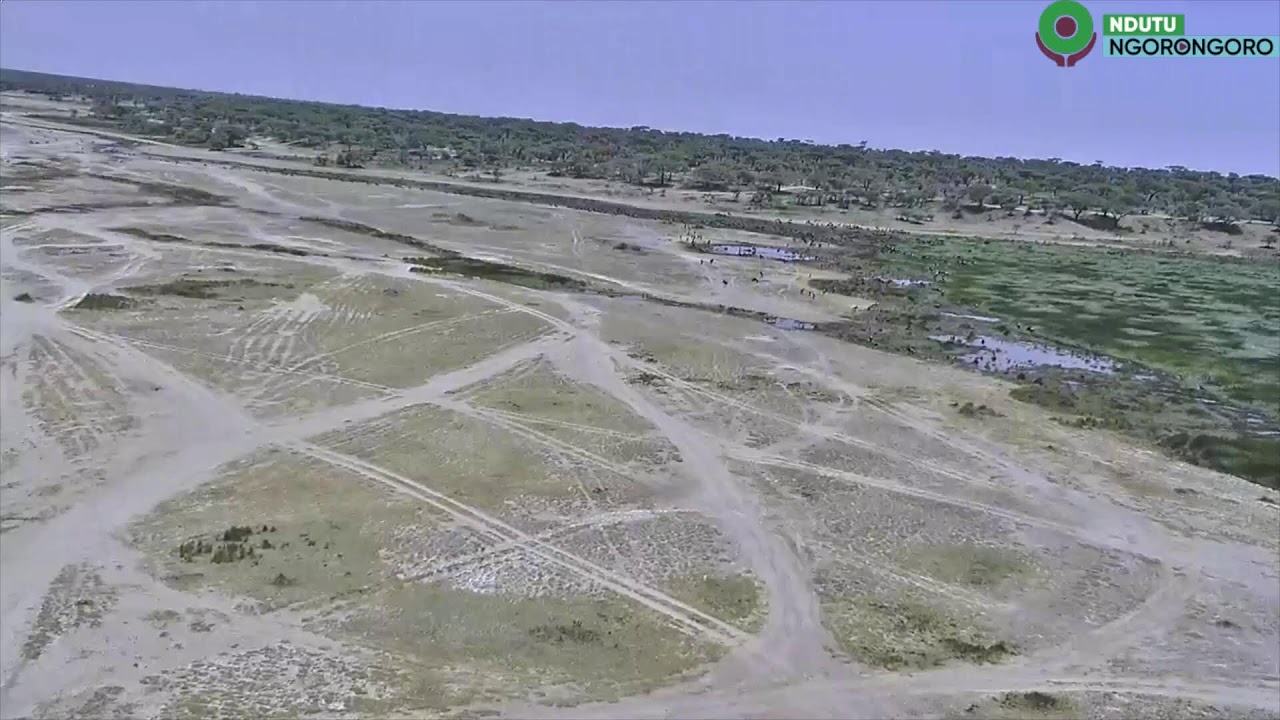 visitngorongoro