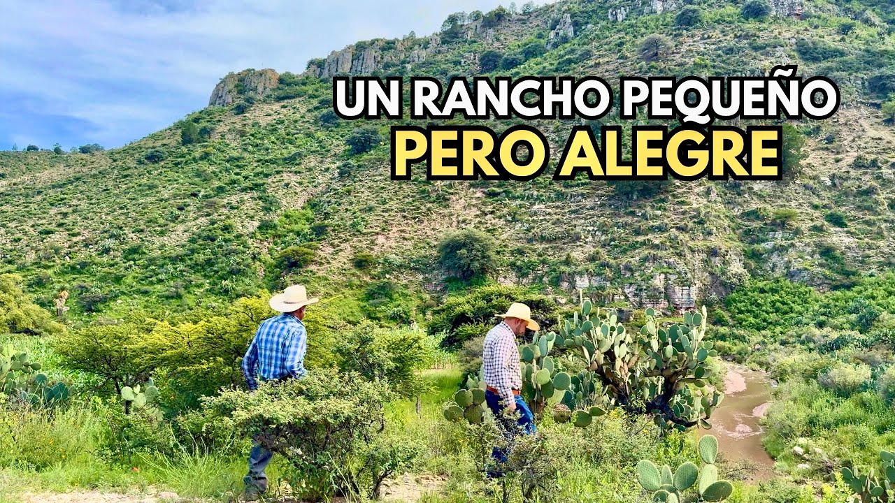 AQUÍ VIVO EN MI RANCHITO PEQUEÑO PERO ALEGRÉ