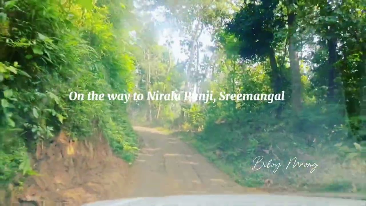 On The way to Nirala Punjee || Nirala Pujee || নিরালা পুঞ্জি ||