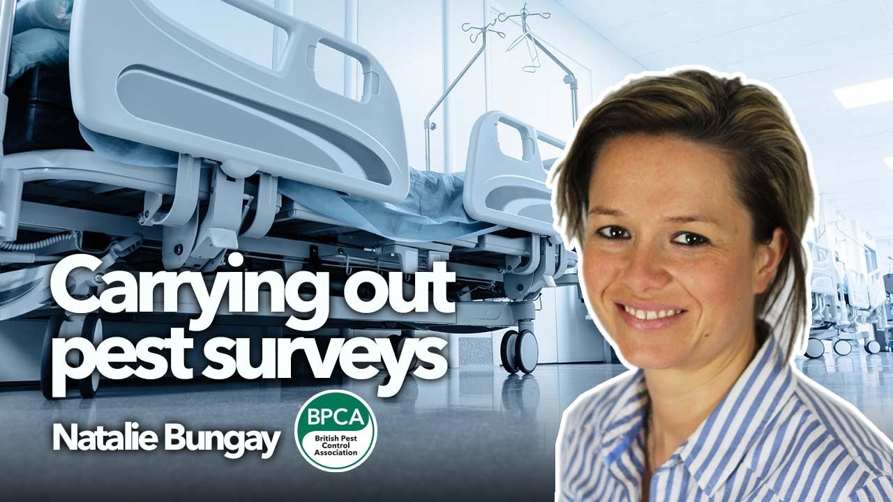Carrying out pest control surveys