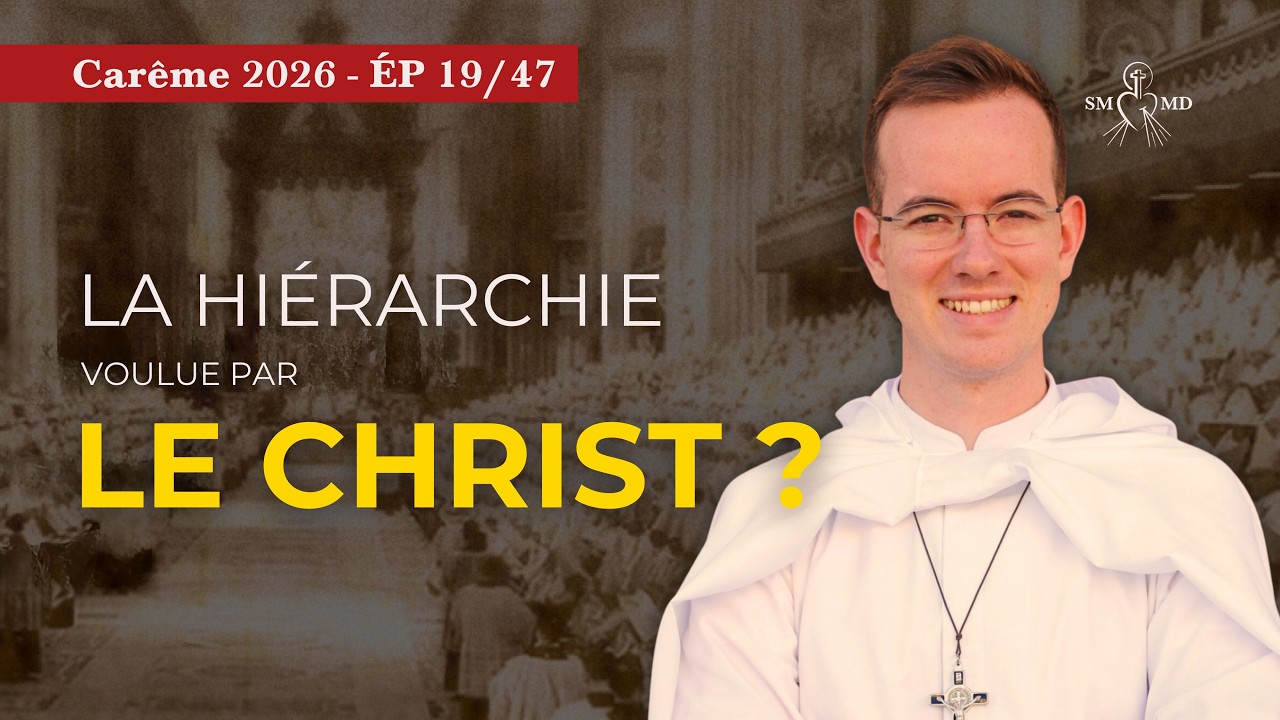 La hiérarchie est-elle instituée par le Christ ? Abbé Benoit Le Flohic