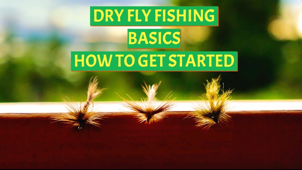 Dry Fly Fishing Basics