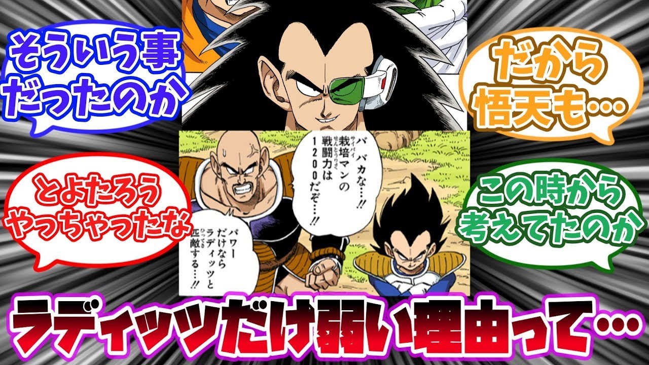 バーダックの家系でラディッツだけ弱かった本当の理由に気付いた読者の反応集