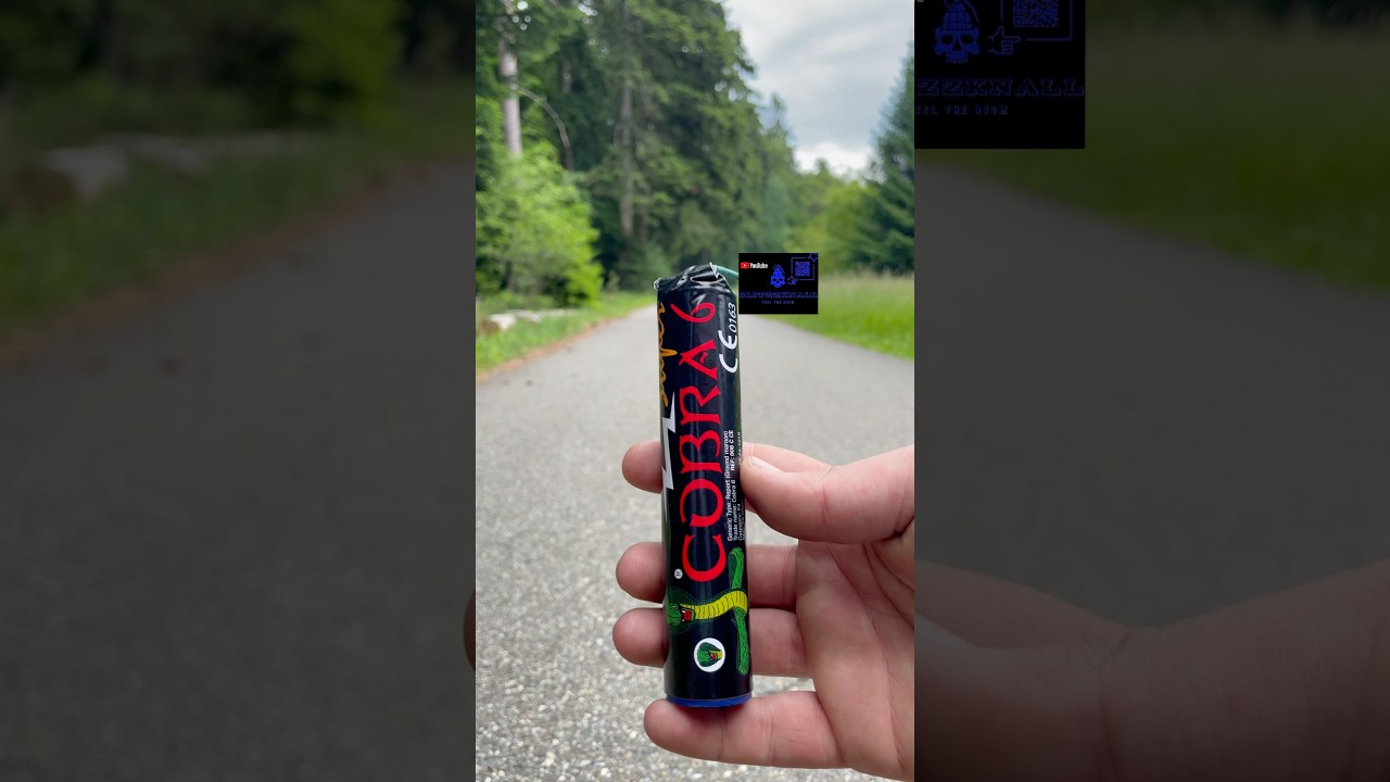 COBRA 6 🐍🧨 