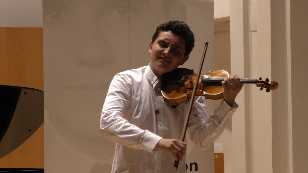 El SUEÑO DEL MAESTRO (DE BACH A EINSTEIN)