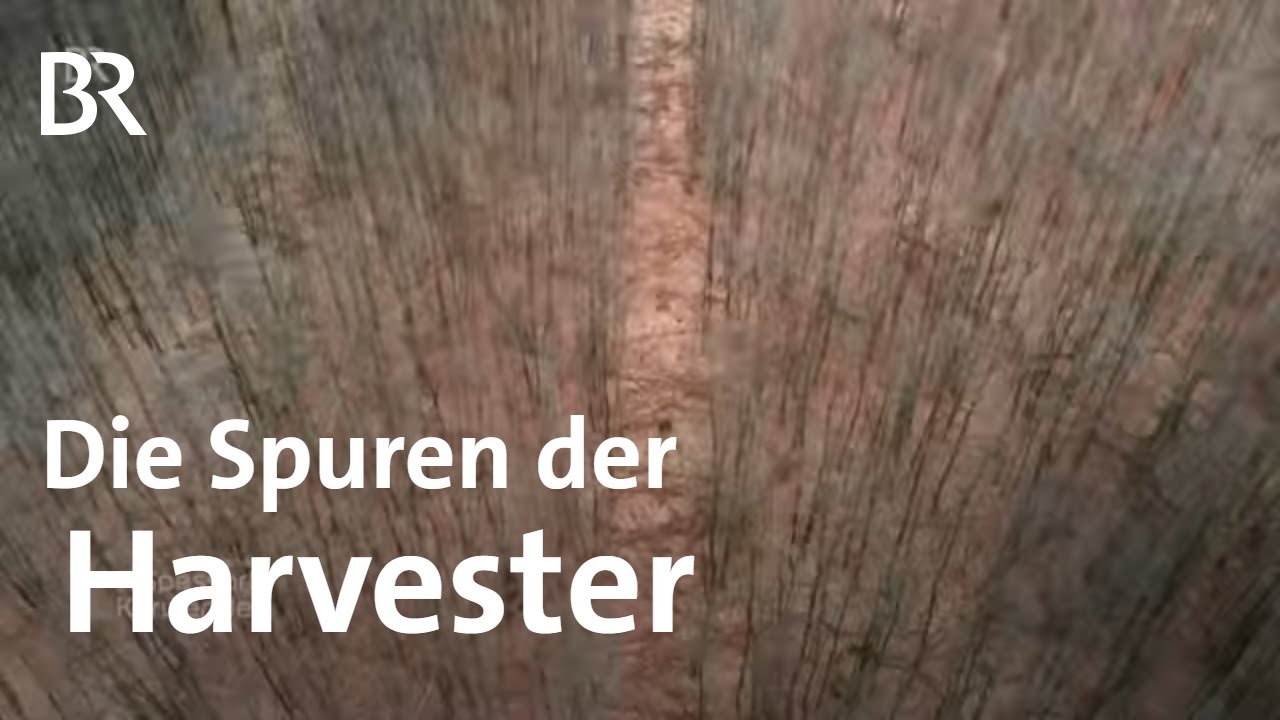Harvester: Holzerntemaschinen setzen Wald unter Druck | Zwischen Spessart und Karwendel | Doku | BR